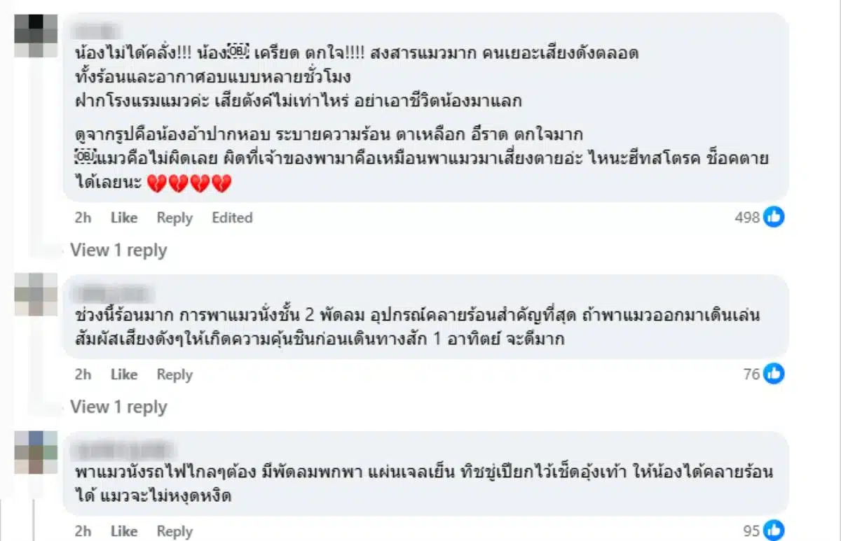 ความเห็นกรณีแมวคลั่งบนรถไฟ