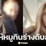 คนงานฟาร์มทำร้ายลูกสาวนายจ้างวัย 17 ปี ก่อนปล่อยหมูกินร่างทั้งเป็น