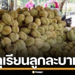 ทุเรียนลูกละ 1 บาท หน้าสวนนกชัยนาท คนแห่ต่อคิว รอซื้อกันเพียบ