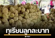 ทุเรียนลูกละ 1 บาท หน้าสวนนกชัยนาท คนแห่ต่อคิว รอซื้อกันเพียบ