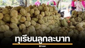ทุเรียนลูกละ 1 บาท หน้าสวนนกชัยนาท คนแห่ต่อคิว รอซื้อกันเพียบ