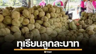 ทุเรียนลูกละ 1 บาท หน้าสวนนกชัยนาท คนแห่ต่อคิว รอซื้อกันเพียบ