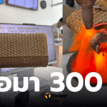 กระเป๋าทองแท้ซื้อมา 300