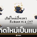 เกิดใหม่เป็นแมว ทายนิสัยตรงเป๊ะ