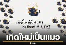 เกิดใหม่เป็นแมว ทายนิสัยตรงเป๊ะ