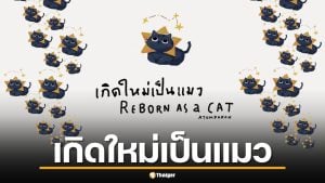 เกิดใหม่เป็นแมว ทายนิสัยตรงเป๊ะ