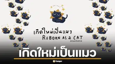 เกิดใหม่เป็นแมว ทายนิสัยตรงเป๊ะ