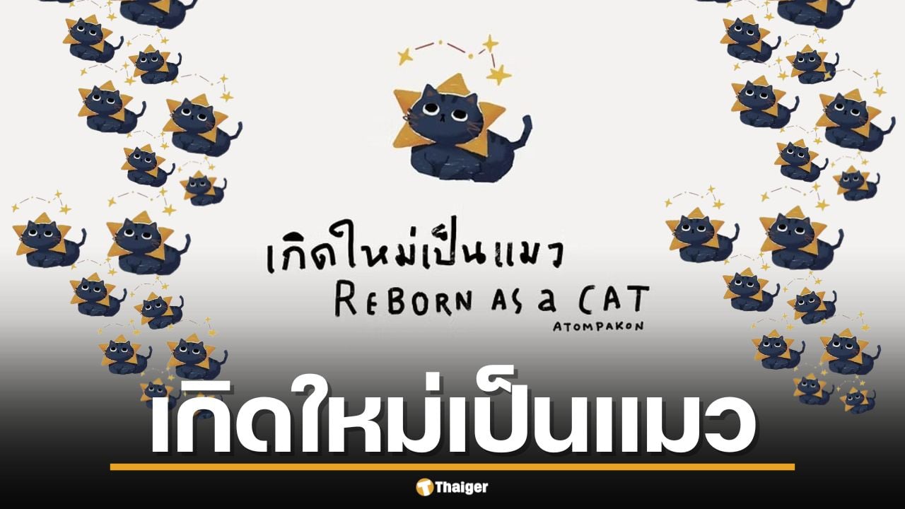 เกิดใหม่เป็นแมว ทายนิสัยตรงเป๊ะ