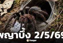 เลขเด็ด พญาบึ้ง งวด 2 พฤษภาคม 2569