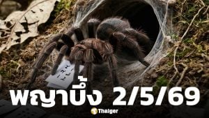 เลขเด็ด พญาบึ้ง งวด 2 พฤษภาคม 2569