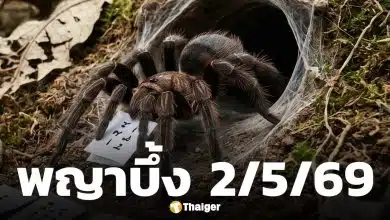 เลขเด็ด พญาบึ้ง งวด 2 พฤษภาคม 2569