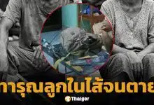 อำมหิต! จับแม่แท้ๆ-พ่อเลี้ยง ตบลูกขวบครึ่งสลบคามือ เครื่องช็อตปลาจี้อ้างกู้ชีพอ สุดท้ายดับอนาถ