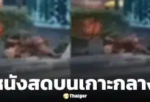 โนสนโนแคร์! คู่รักไร้บ้าน เริงรักบนเกาะกลางถนน กลางวันแสก ๆ คนผ่านไปมายืนอึ้งช็อตเด็ด