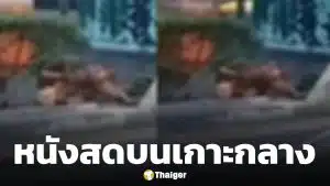 โนสนโนแคร์! คู่รักไร้บ้าน เริงรักบนเกาะกลางถนน กลางวันแสก ๆ คนผ่านไปมายืนอึ้งช็อตเด็ด