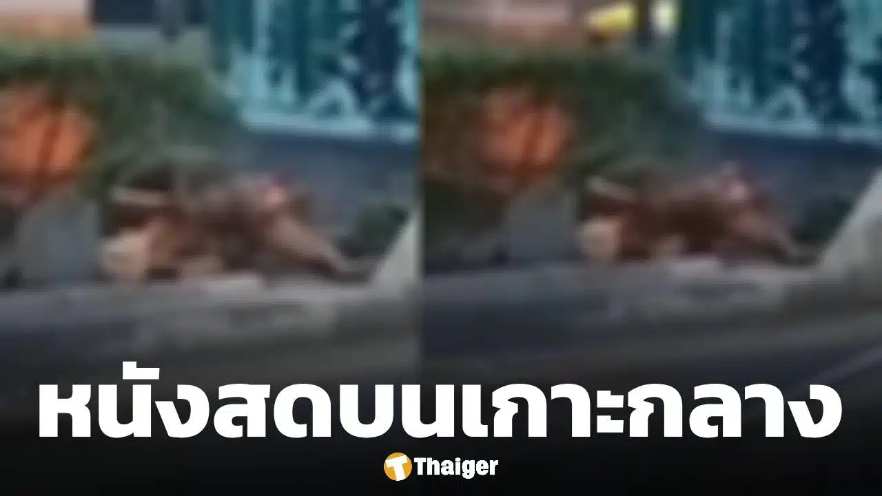 โนสนโนแคร์! คู่รักไร้บ้าน เริงรักบนเกาะกลางถนน กลางวันแสก ๆ คนผ่านไปมายืนอึ้งช็อตเด็ด