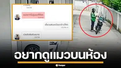 พยาบาลสาวผวา! ไรเดอร์ ส่งอาหารแล้วไม่ยอมกลับ ขอขึ้นห้อง อ้างอยากดูแมว