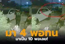 บ้านเชียงใหม่ปลูกมา 10 ปี