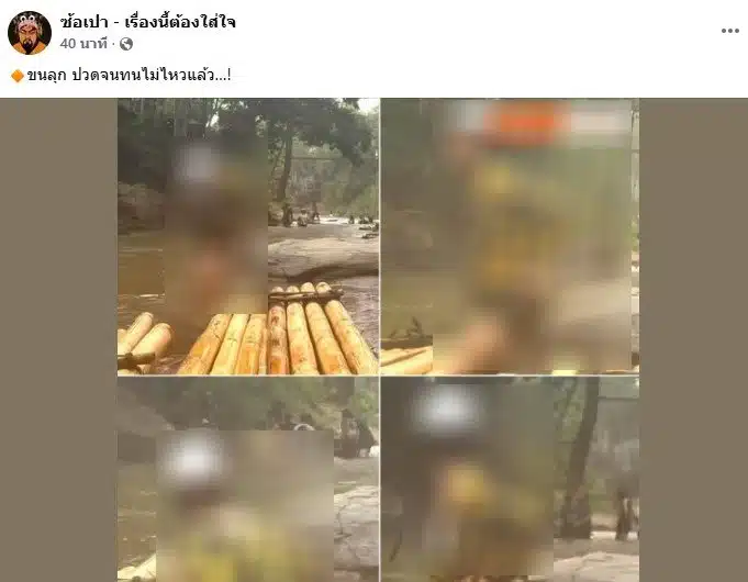 สาวอุจจาระที่น้ำตก