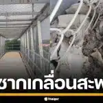 แก๊งมั่วสุม ยึดสะพานลอย ถ่ายคอนเทนต์สยิวลงกลุ่มลับ ทิ้งเศษซากเกลื่อนพื้น