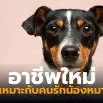 อาชีพใหม่รับจ้างดมกลิ่นปากสุนัข