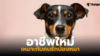 อาชีพใหม่รับจ้างดมกลิ่นปากสุนัข