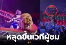 เสือคณะละครสัตว์รัสเซียหลุดกรง