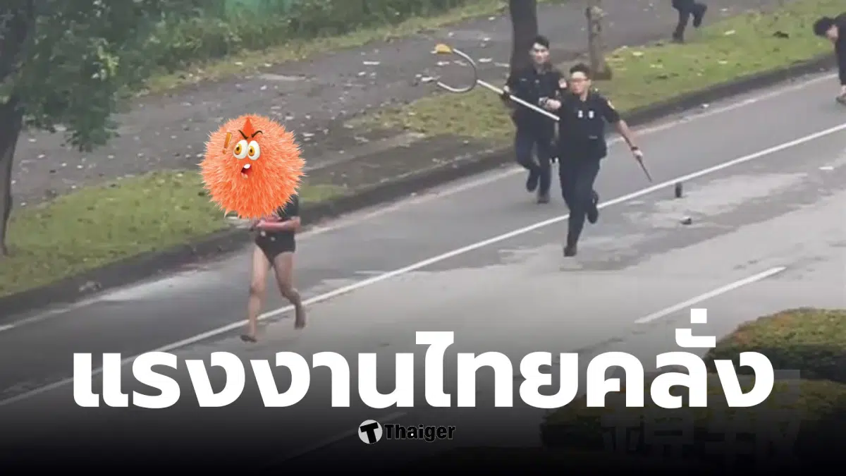 แรงงานไทยคลั่งควงมีดชิงฮอทดอกที่ไต้หวัน