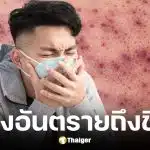 สสส. เตือนโรคไข้กาฬหลังแอ่นรุนแรงถึงขั้นเสียชีวิตได้ใน 24 ชม.