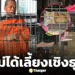 เจ้าอาวาส โต้ข่าว ขายแมวเปอร์เซีย ยันวัดเลี้ยงแมวจรกว่า 100 ตัวด้วยเมตตาจิต พร้อมแจกฟรี