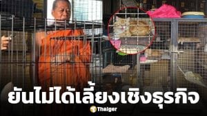 เจ้าอาวาส โต้ข่าว ขายแมวเปอร์เซีย ยันวัดเลี้ยงแมวจรกว่า 100 ตัวด้วยเมตตาจิต พร้อมแจกฟรี
