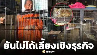 เจ้าอาวาส โต้ข่าว ขายแมวเปอร์เซีย ยันวัดเลี้ยงแมวจรกว่า 100 ตัวด้วยเมตตาจิต พร้อมแจกฟรี