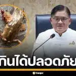 ผู้ว่าฯ เลย แจงยิบ ปลาแค้มีตุ่มประหลาด คือ "พยาธิใบไม้" ยันปรุงสุกกินได้ปลอดภัย