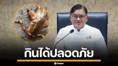 ผู้ว่าฯ เลย แจงยิบ ปลาแค้มีตุ่มประหลาด คือ "พยาธิใบไม้" ยันปรุงสุกกินได้ปลอดภัย