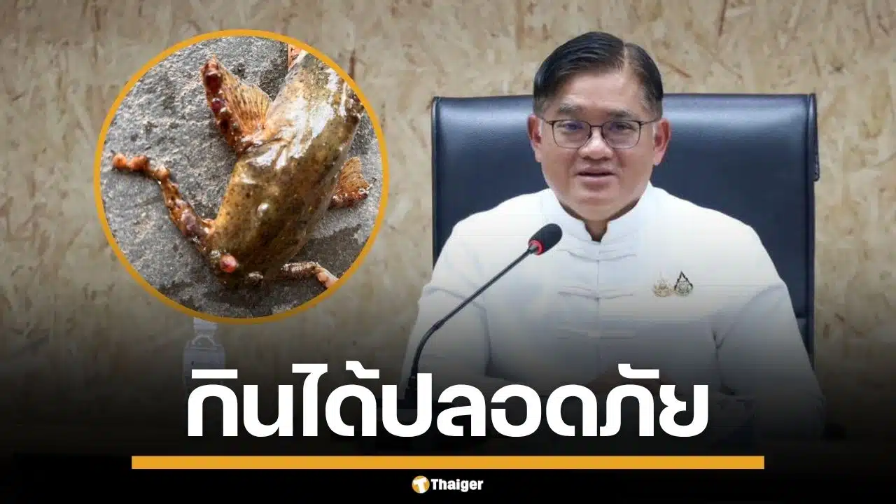ผู้ว่าฯ เลย แจงยิบ ปลาแค้มีตุ่มประหลาด คือ "พยาธิใบไม้" ยันปรุงสุกกินได้ปลอดภัย