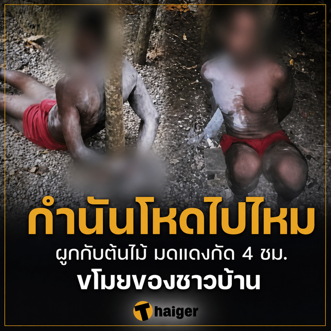 กำนันโหด ใช้ศาลเตี้ย หนุ่มขโมยของ ปล่อยมดแดงกัด 4 ชม. โดน 2 ข้อหา