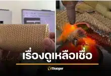 ชาวเน็ตสงสัย ซื้อกระเป๋าโกดังญี่ปุ่น 300 ขายได้ 1.2 ล้าน เรื่องจริงหรือคอนเทนต์