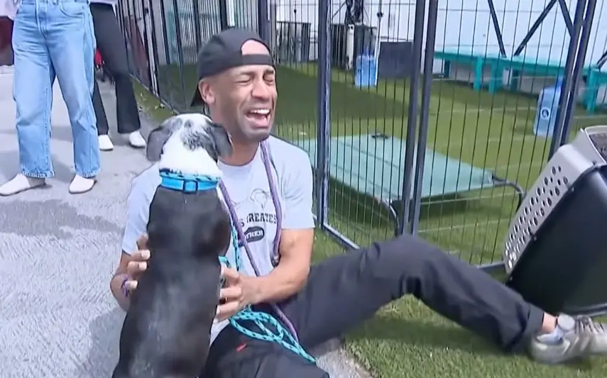 ชายได้สุนัขพันธุ์บอสตันเทอร์เรียคืน