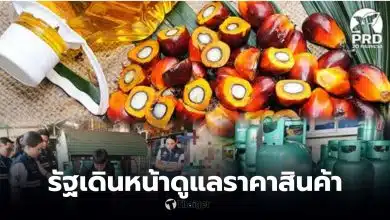 ราคาน้ำมันปาล์มดิบ