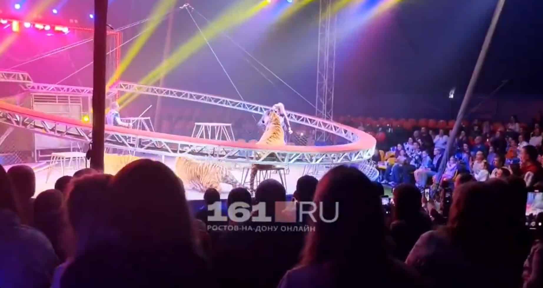 คลิปนาที เสือโคร่ง กระโจนใส่คนดู หลังตาข่ายนิรภัยถล่ม วิ่งหนีตายจ้าละหวั่น-1