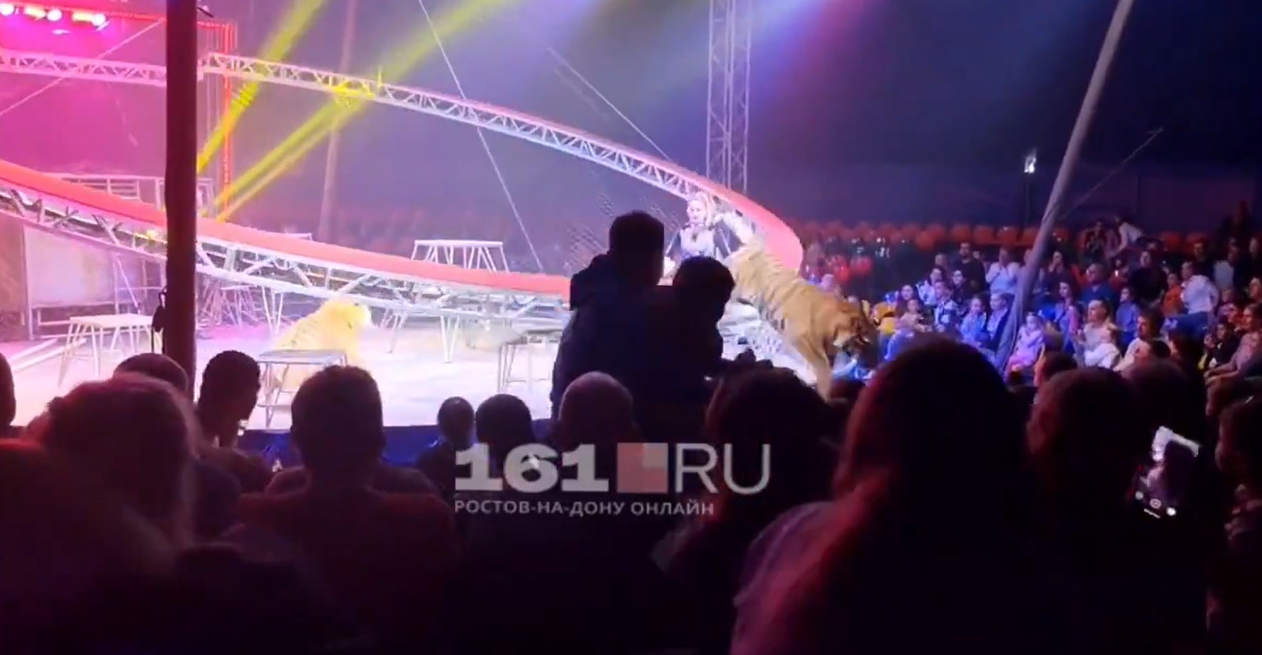 คลิปนาที เสือโคร่ง กระโจนใส่คนดู หลังตาข่ายนิรภัยถล่ม วิ่งหนีตายจ้าละหวั่น-3