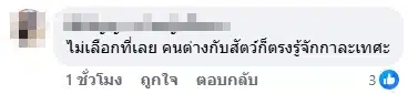 คอมเมนต์ชาวเน็ต-2