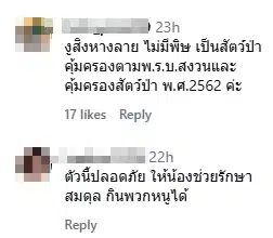 ชาวเน็ตคอมเมนต์-1