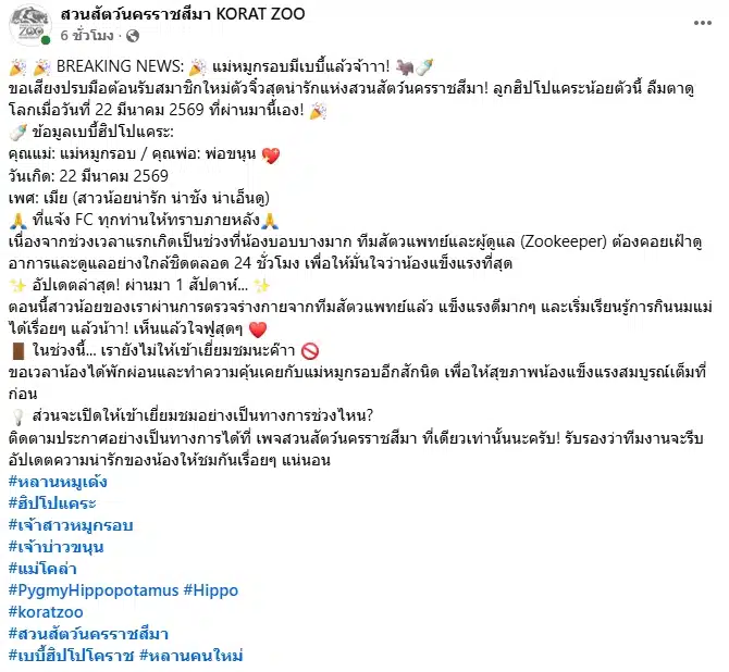 สวนสัตว์โคราชเฮ ลูกฮิปโปแคระ ลืมตาดูโลก เตรียมอวดโฉมข้างแม่หมูกรอบเร็วๆ นี้-1