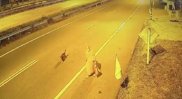 เร่งแกะรอย! วงจรปิดเผยนาที เจ้าอาวาสวัดสนามไชย เดินเหม่อลอย ข้ามสะพานแม่น้ำปิง-2