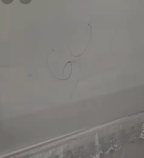 เลขฝาโลง แดนนี่ ศรีภิญโญ เขียนชัด 2 ตัวตรง ภรรยาเปิดให้เอง-เหมาลอตเตอรี่เกลี้ยงแผง-3