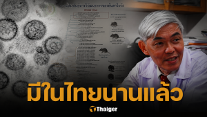 หมอยง คลายกังวล ไวรัสฮันตา มีในไทยนาน 40 ปีแล้ว ไม่ดุร้ายแบบอเมริกาใต้