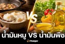 น้ำมันหมู VS น้ำมันพืช กินอะไรดีกว่ากัน งานวิจัยว่ายังไงบ้าง