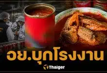 อย. บุกโรงงานปลากระป๋อง ใช้ปลาอื่น แทนปลาแมคเคอเรล ยึดหมื่นกระป๋อง