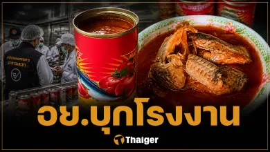 อย. บุกโรงงานปลากระป๋อง ใช้ปลาอื่น แทนปลาแมคเคอเรล ยึดหมื่นกระป๋อง