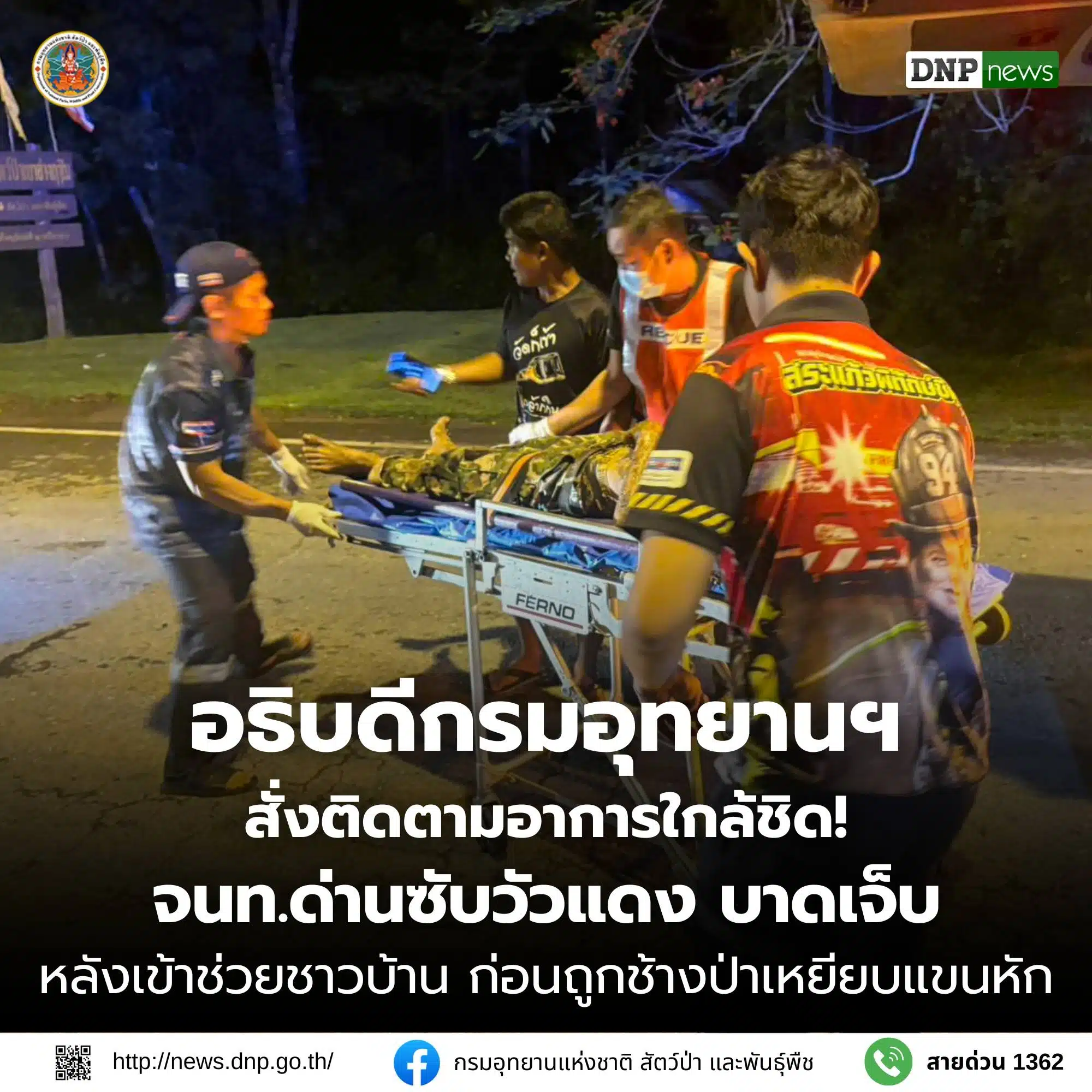 เจ้าหน้าที่พิทักษ์ป่าถูกช้างป่าเหยียบเสียชีวิต